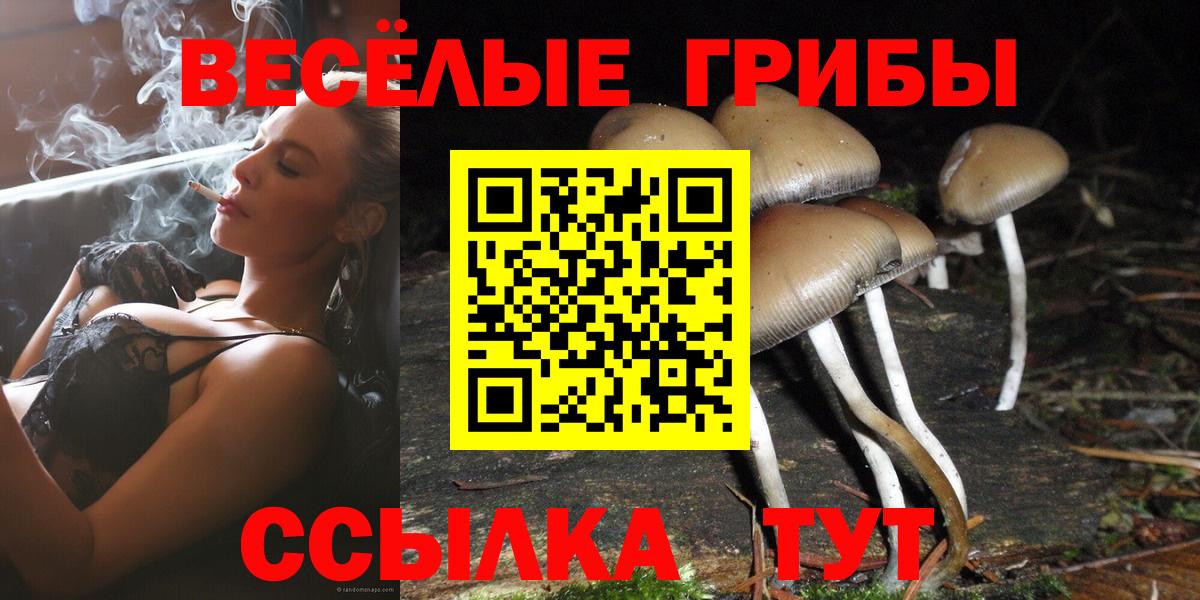 Химки  Галлюциногенные грибы мицелий  Псилоцибиновые грибы MAGIC MUSHROOMS  Вход с VPN 